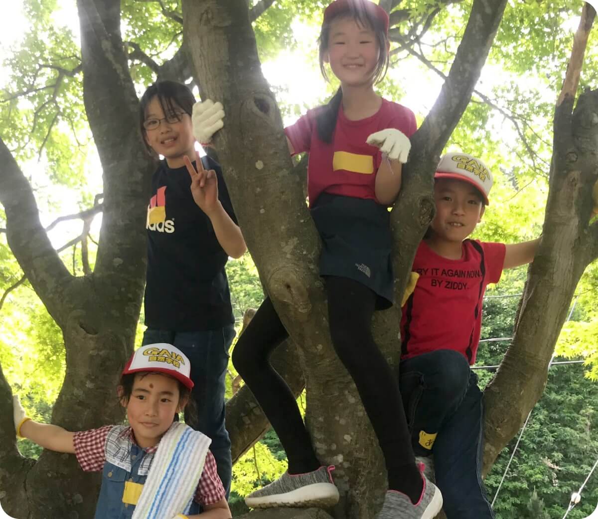 木登りをしている様子