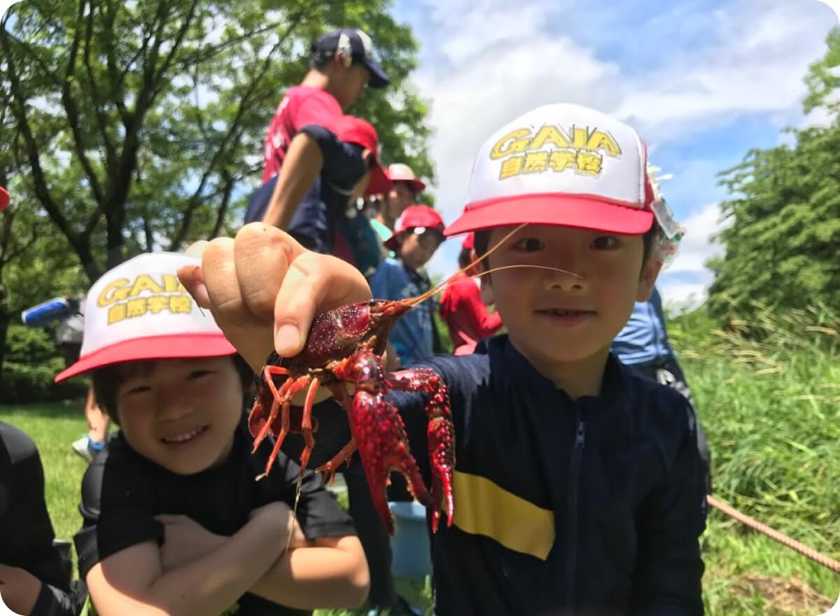 ザリガニ取りをしている様子