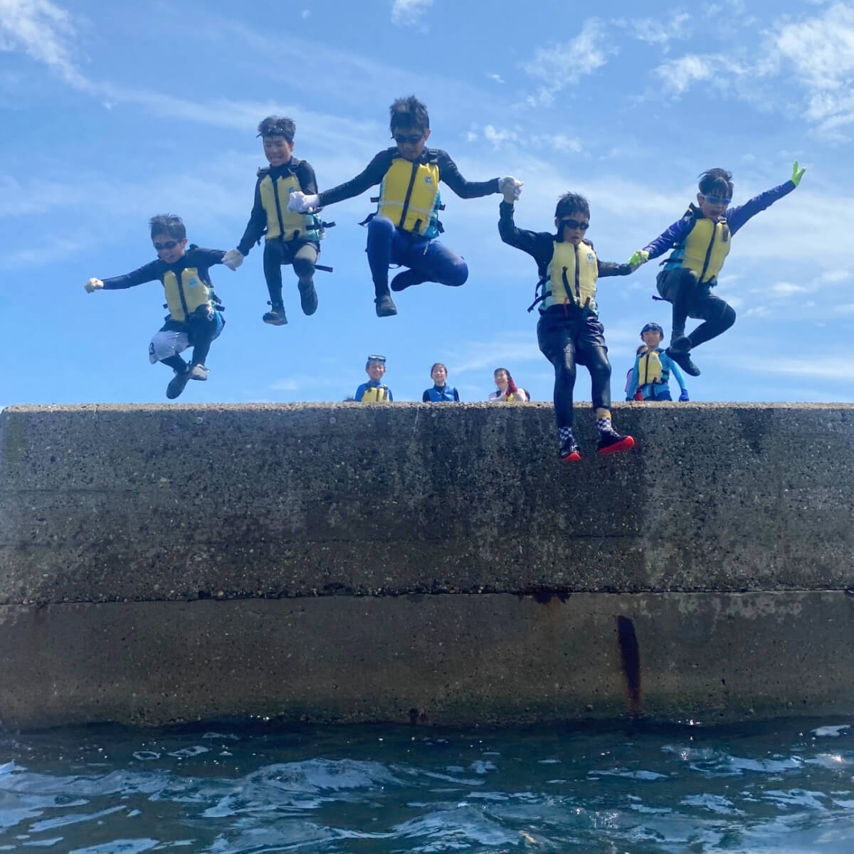 フィールドハンタープログラムのイメージ