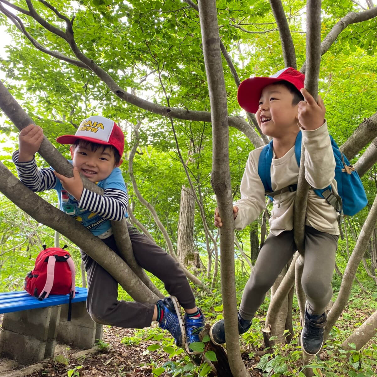 自然教室 ガイアキッズプログラムのイメージ